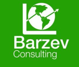 Barzev Consulting