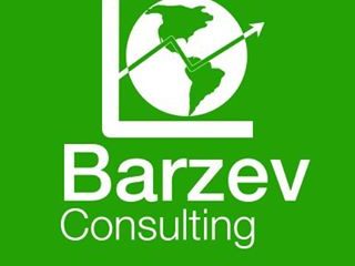 Barzev Consulting
