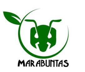 Marabuntas